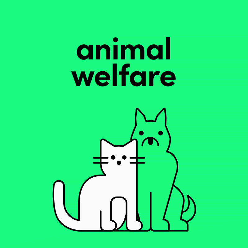 Animal welfare illustration