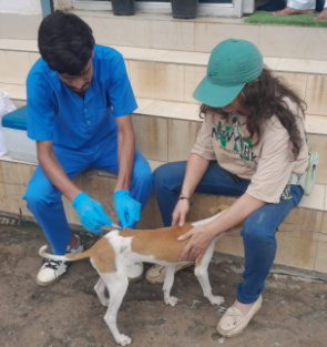 Sterilization