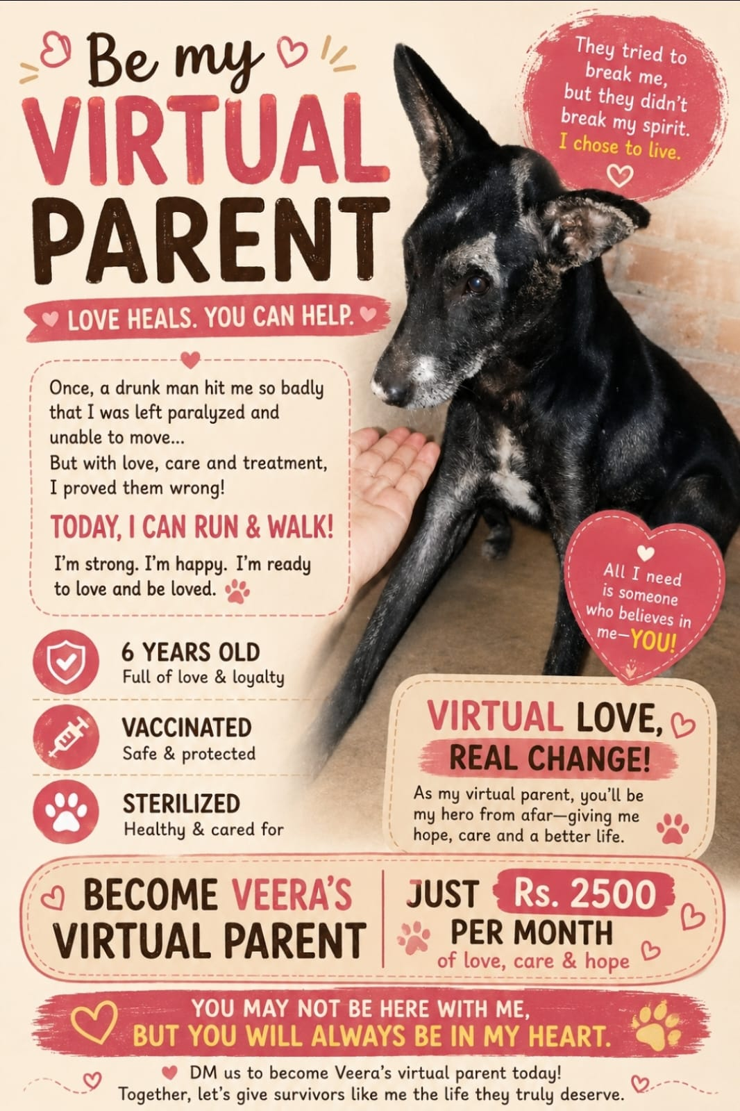 Veera virtual parent adoption poster